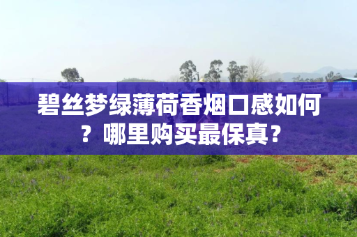 碧丝梦绿薄荷香烟口感如何？哪里购买最保真？